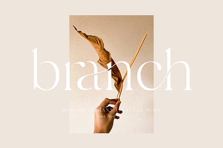 Branch - Modern Ligature Serif, a Serif Font by Sans & Sons