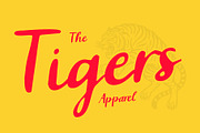 CS Ginger Drawn, a Script Font by Craft Supply Co. (Thumbnail 2 of 8)