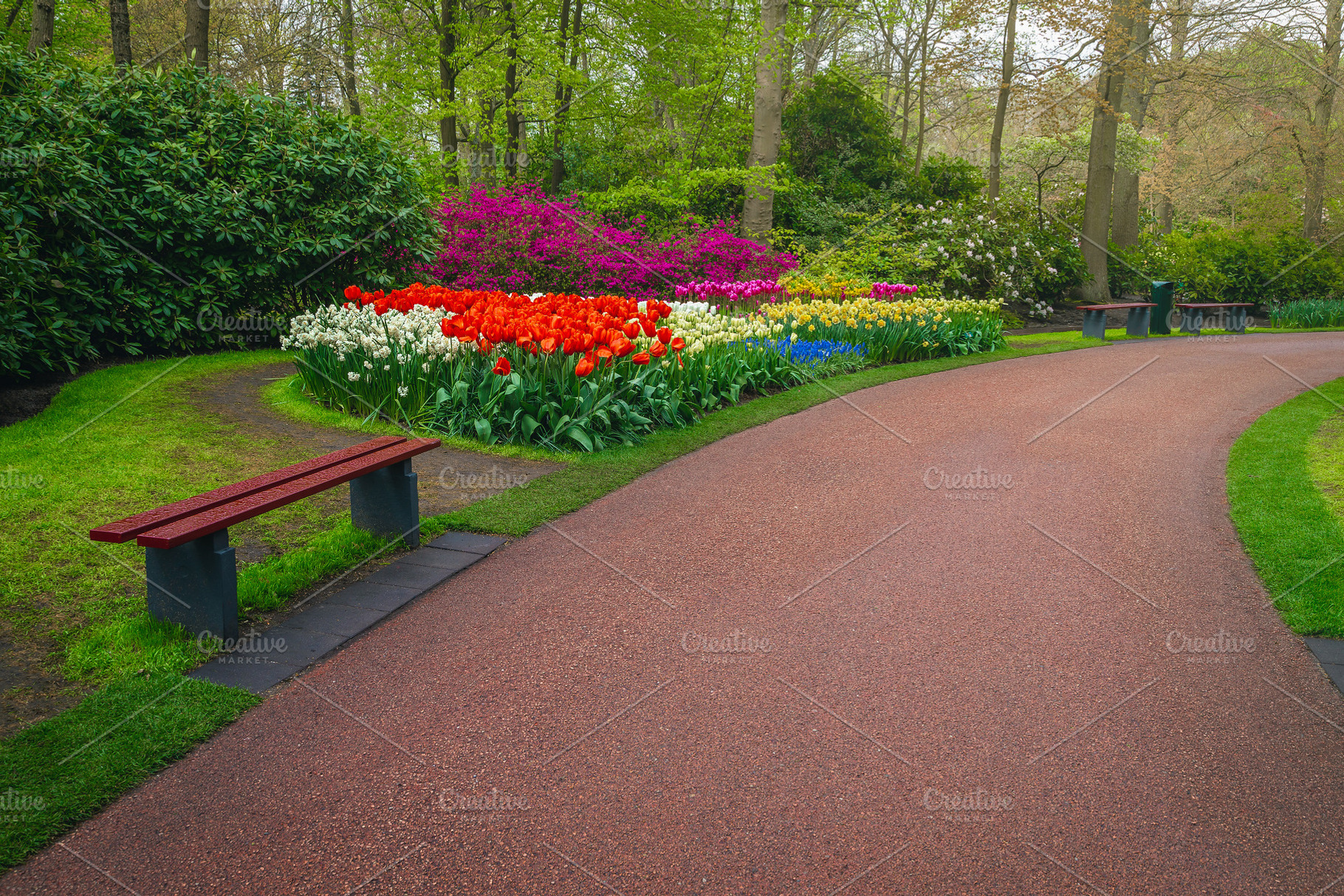 Arranged flower beds with tulips, a Nature Photo by Alpine Dreams