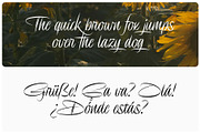 Delion | Signature Font, a Script Font by Lemonthe (Thumbnail 8 of 10)