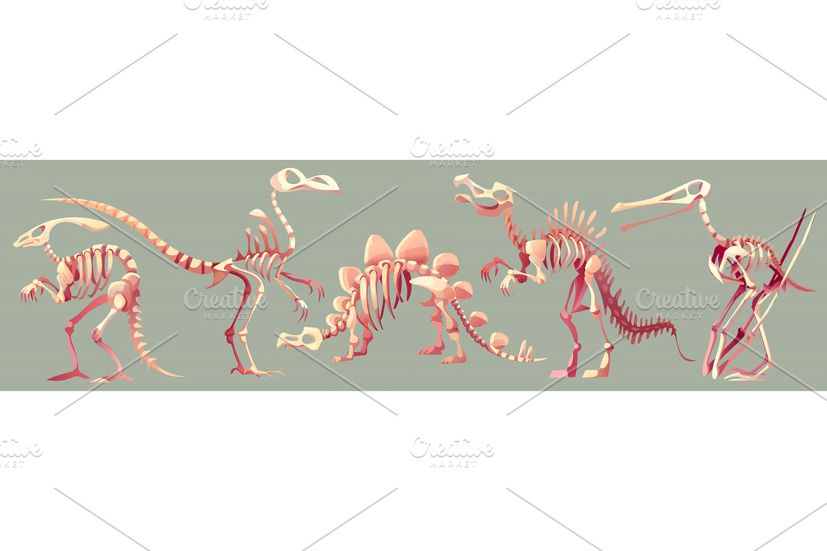 Prehistoric dinosaur fossil skeleton, an Illustration by art PVP - market