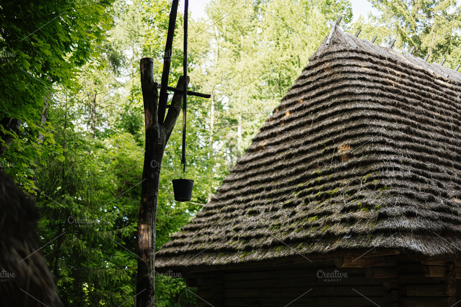 Traditional thatched rural house surrounded by lush green forest in daylight, a Photo by AS photostudio