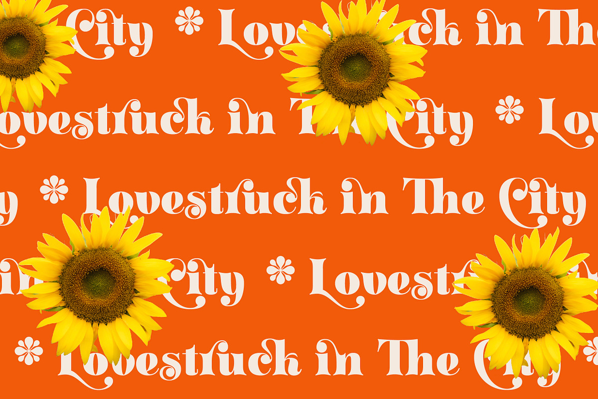 ZT Klotin - Display Typeface, a Serif Font by zelow type (Photo 9 of 15)