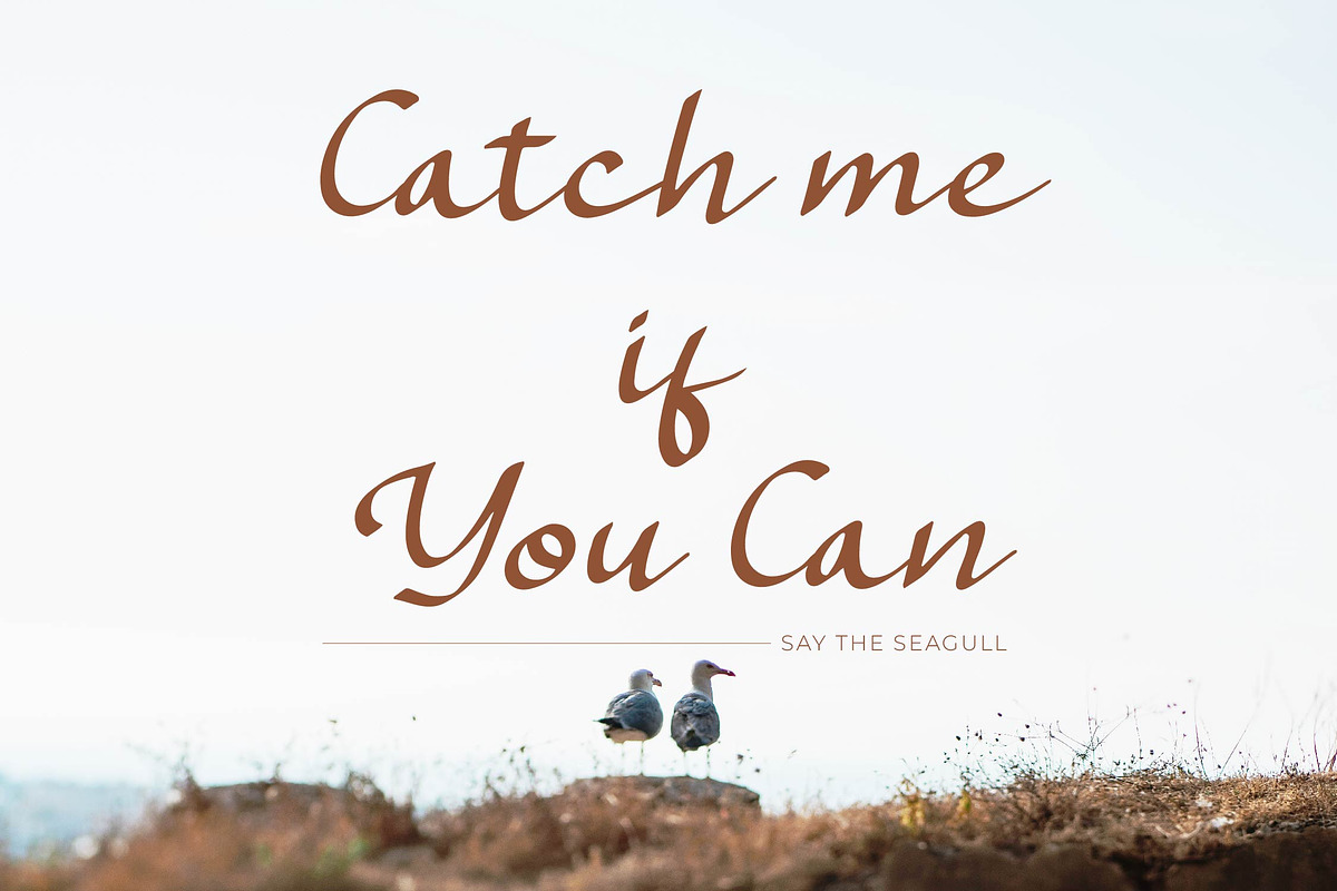 Kaseylum Script Font, a Script Font by Denustudios (Photo 8 of 14)