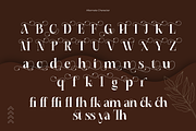 Rushy, a Serif Font by saemoon creative (Thumbnail 10 of 14)
