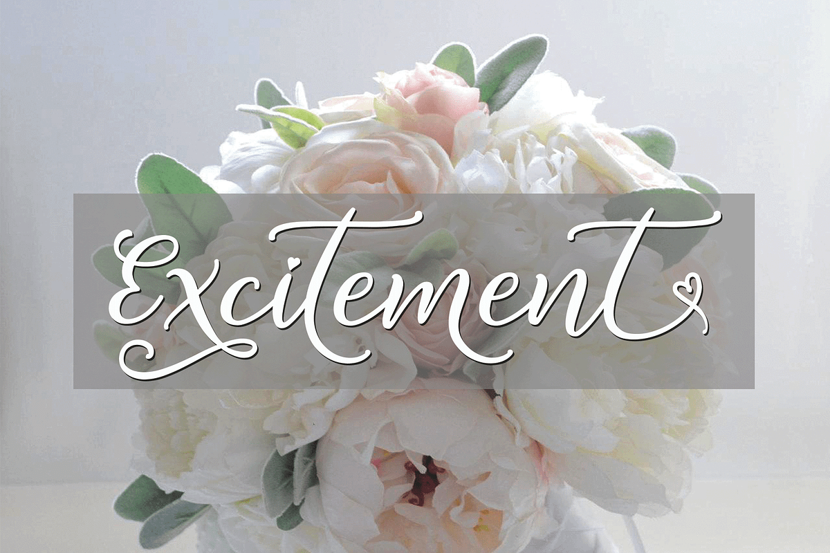 Excitement preview 2
