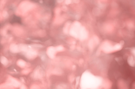 Light bokeh featuring bokeh, light, and background preview 6