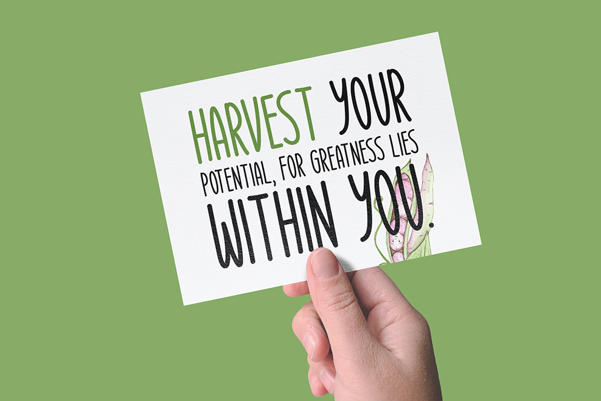 Harvest Joy Typeface, a Handwritten Font by Seemly Fonts (Photo 4 of 5)