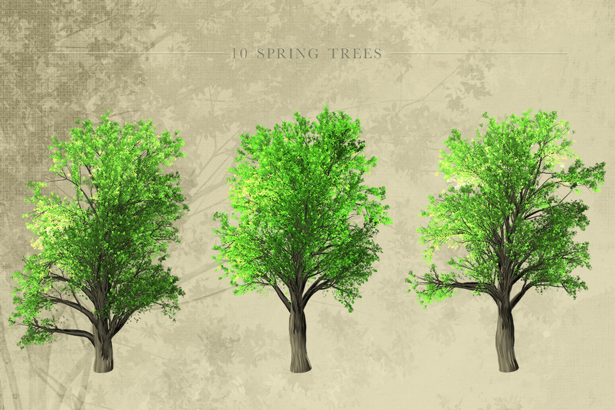 Zelkova Serrata Trees, an Object Graphic by Athlos ArtLab (Photo 4 of 5)