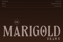 CS Marigold Drawn