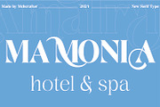 Amalrano | Modern Serif Display Font, a Serif Font by MchCrafter (Thumbnail 5 of 9)