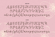 Wildflower Garden | Whimsical Font, a Handwritten Font by type peace (Thumbnail 13 of 14)