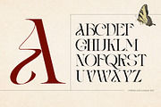 Vintage Agriqy - Modern Logo Serif, a Serif Font by Nirmana Visual (Thumbnail 5 of 6)