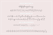 Beauty Notes Script + Illustrations, a Script Font by Design Pixie (Thumbnail 2 of 15)