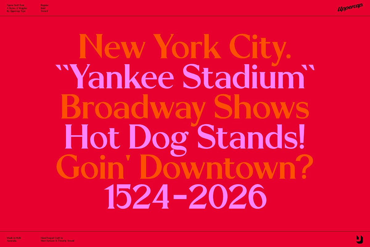 Apexe - Serif Font Family, a Serif Font by UppercapType (Photo 8 of 13)