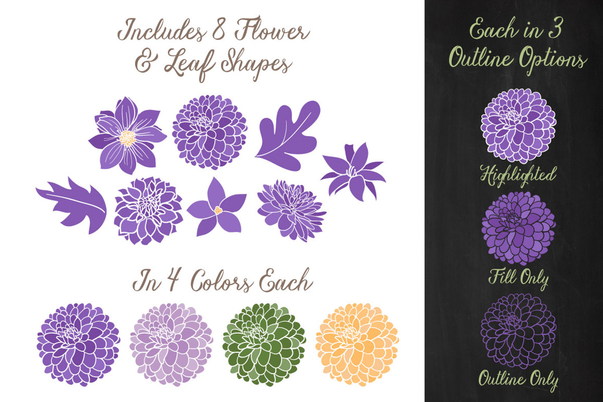 Purple Dahlia Clipart & Vectors, an Illustration by Amanda Ilkov (Photo 3 of 4)