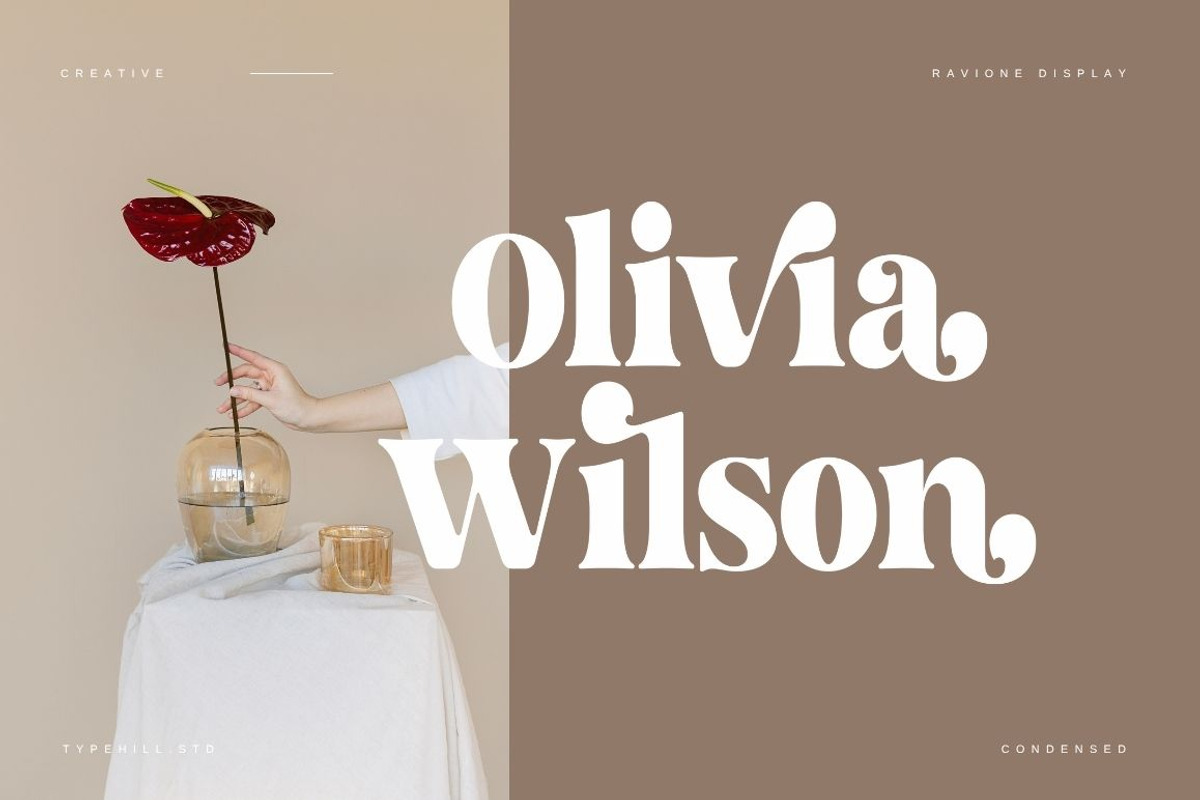 Ravione Display, a Serif Font by Typehill (Photo 9 of 11)