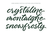 Charity Thomas Bold Calligraphy, a Script Font by stylishtype.co (Thumbnail 13 of 20)