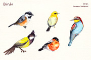 Birds watercolor clipart, an Illustration by Where summer is (Thumbnail 4 of 4)