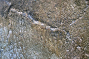 The Golden Nile Patterns & Textures, a Pattern Graphic by Blixa 6 Studios (Thumbnail 6 of 6)