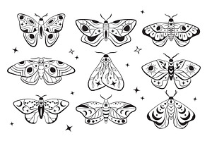 Celestial Night Moths