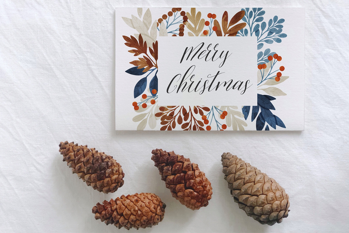 Winter Botany Set, a Decorative Illustration by Helga Wigandt (Photo 9 of 10)