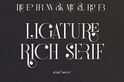 Redmark - elegant serif font, a Serif Font by VP Fonts (Thumbnail 3 of 17)