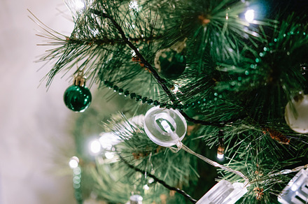 Christmas tree containing christmas tree, holyday, and celebrate