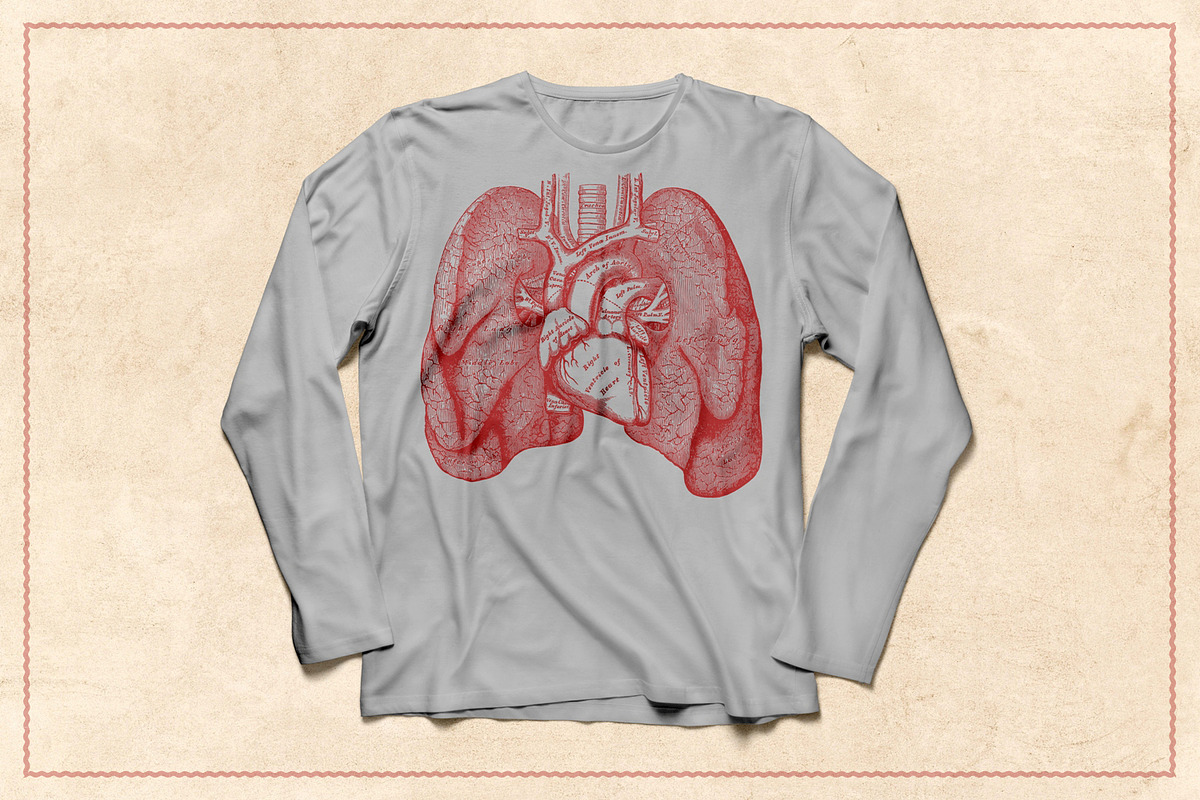 100 Vintage Anatomy Vectors, an Illustration by Brigantine Designs (Photo 3 of 7)