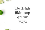 Janecia Serif 3 Font Family Pack, a Serif Font by Creativetacos (Thumbnail 3 of 6)