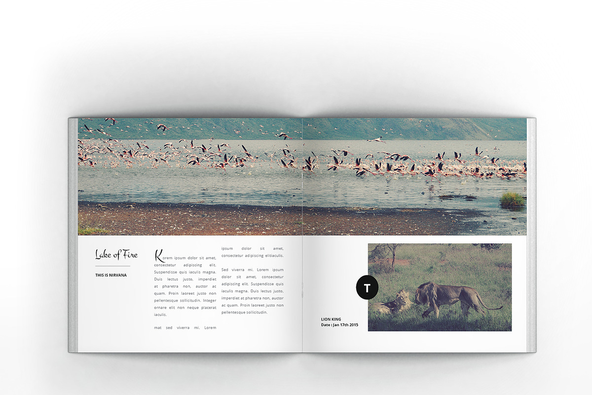 Multipurpose Square Clean Brochure, a Brochure Template by Incools Stokie (Photo 8 of 14)