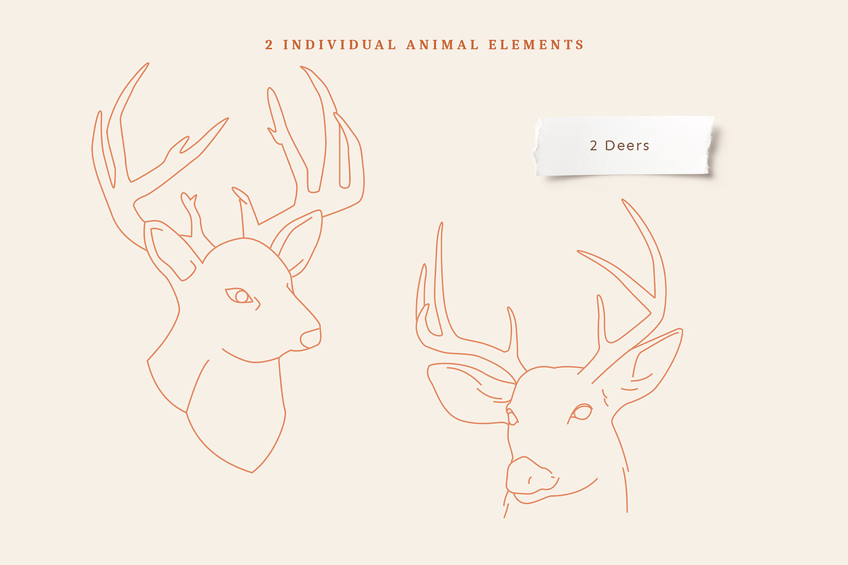 Minimalist Boho Collection, a Texture Illustration by imajineko (Photo 11 of 14)
