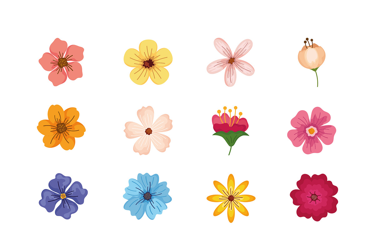 Colorful Flowers Illustration Set