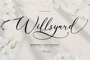 Willsyard | Modern Calligraphy, a Script Font by Denustudios