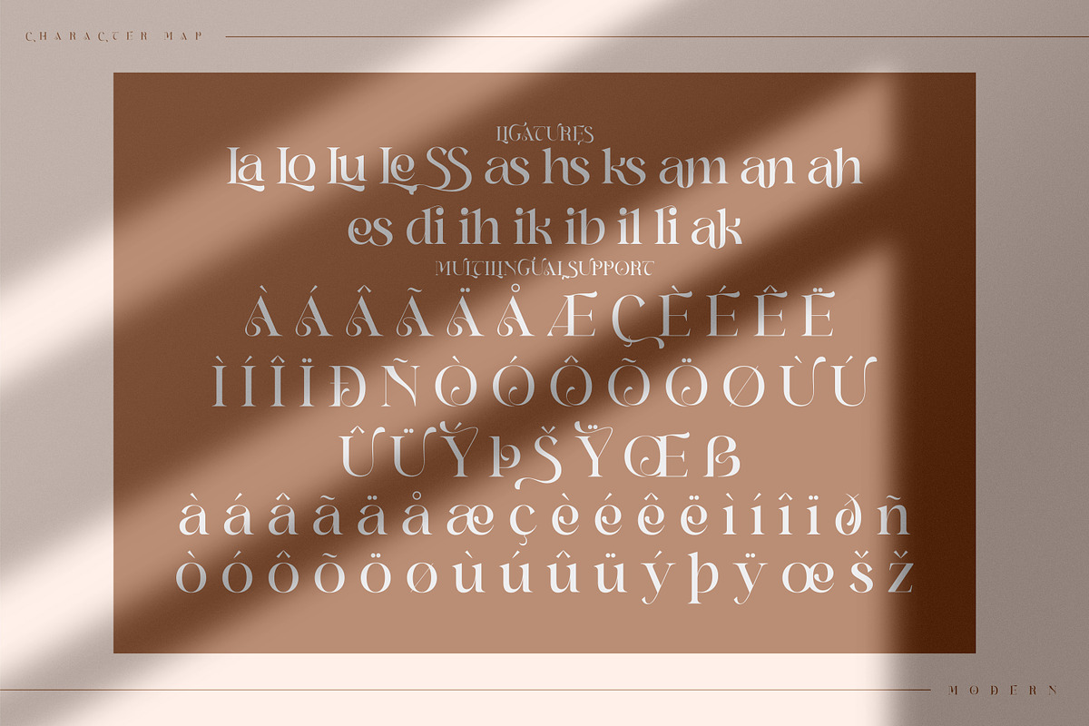 Branding Aliskaje Modern Serif Font, a Serif Font by Storytype Studio (Photo 8 of 9)