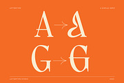 Lettertype a Stunning Display Serif, a Serif Font by Lettertype Studio (Thumbnail 7 of 20)
