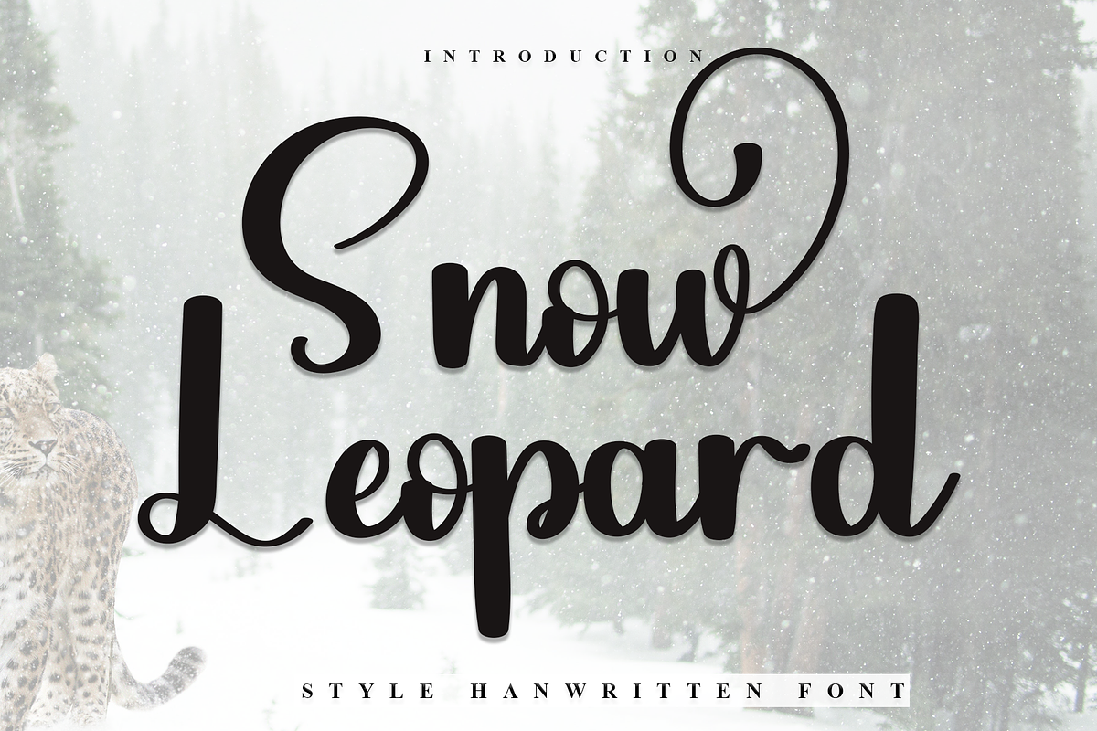 Snow Leopard, a Handwritten Font by InermediaSTUDIO (Photo 1 of 7)
