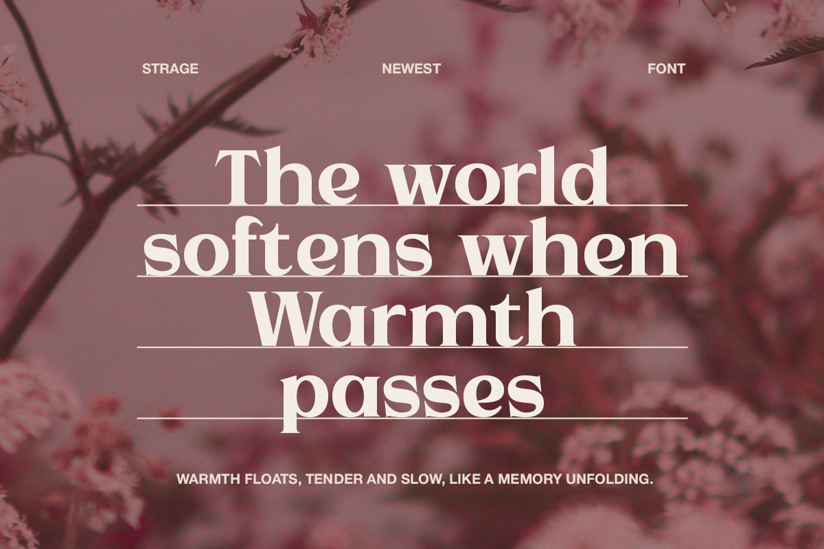 Strage - Luxury Serif Font, a Serif Font by Pandeka Studio (Photo 8 of 9)