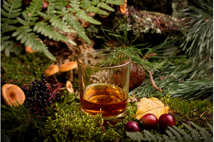 Whiskey glass among a wild natural, a Food & Drink Photo by JeanBet