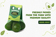 Avicoa – Organic Avocado Font, a Handwritten Font by NTC Graphic (Thumbnail 5 of 9)