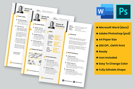 Resume CV Professional 2