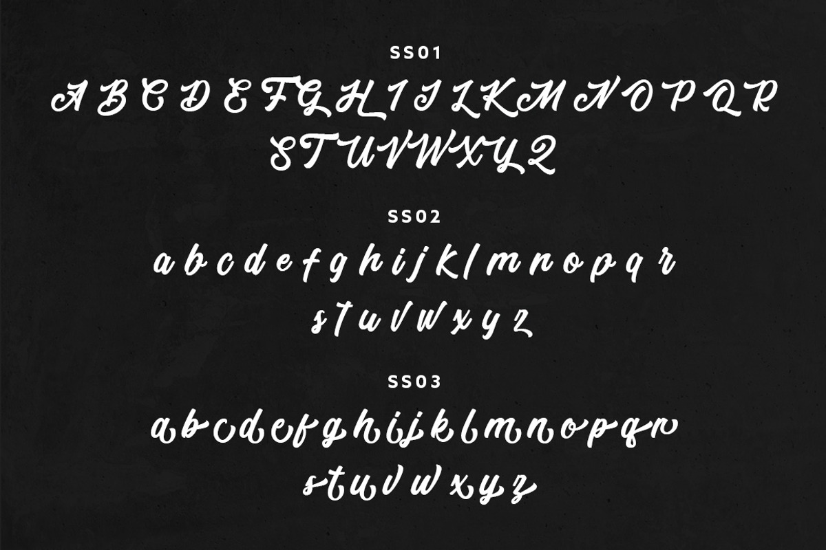 Telford Town - Bold Script Font, a Script Font by Mayofont (Photo 10 of 11)
