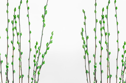 Modern springtime display