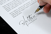 The Billion | Stylish Signature, a Script Font by Lemonthe (Thumbnail 5 of 10)