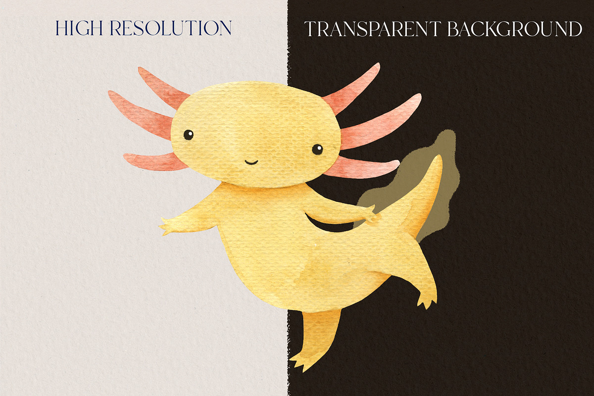 Cute Axolotl Clipart. Underwater, an Animal Illustration by LukaJreym (Photo 4 of 7)