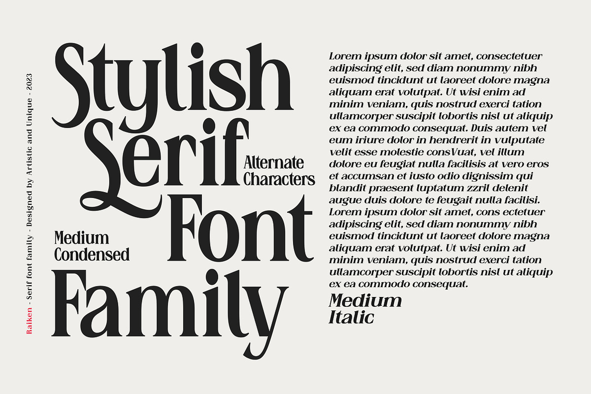 Raiken - Serif font family, a Serif Font by Artistic & Unique (Photo 10 of 14)