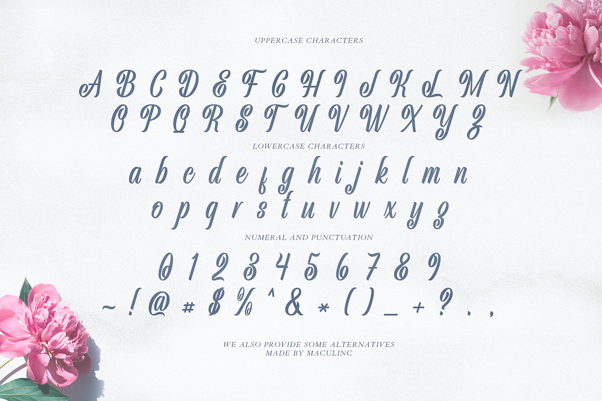 Jimmy Oh Timmy - Script Font, a Script Font by Maculinc Type (Photo 12 of 12)