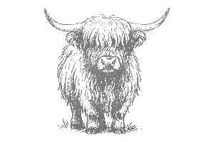 Vintage Highland Cow Engraving, an Illustration by MkStudio