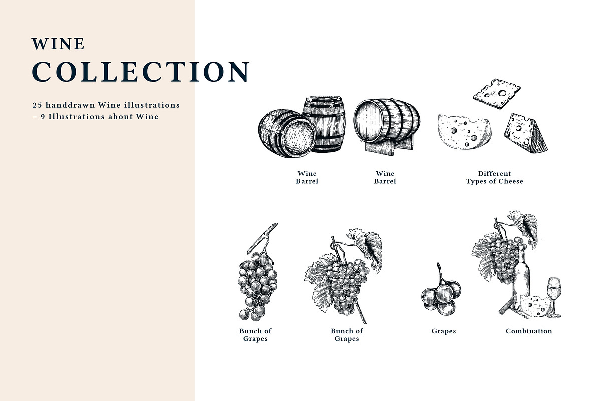 The Wine Collection, a Food Illustration by dicreate (Photo 3 of 12)