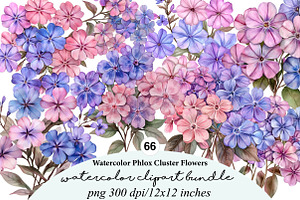 watercolor phlox cluster flowers, an Illustration by GatewayDesign